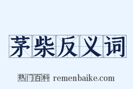 茅柴反义词是什么意思的图片